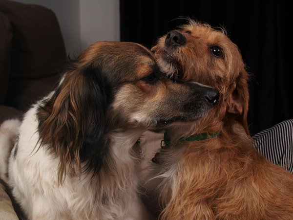 Der perfekte Blazer für androgynen Körpertyp: Ihr umfassender Ratgeber zur optimalen Auswahl